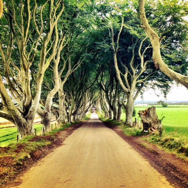 game-of-thrones-dark-hedges