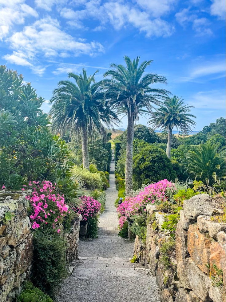 Tresco Abbey Garden, Isles of Scilly